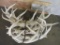 42lbs of Elk Antler Sheds TAXIDERMY