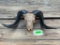 Beautiful CARVED Black Hawaiian sheep skull, with big horns - 24 1/2 inches long , & 24 1/2 inches w