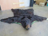 Really Nice Felted Black Bear Rug w/Mounted Head TAXIDERMY