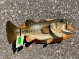 Real skin, 8 lb. 8 oz. Large mouth BASS, fish Taxidermy mount, on wood, 22 1/2 inches long, X 8 inch