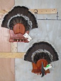 2 Turkey Displays (2x$) TAXIDERMY