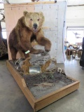 XL Lifesize Brown Bear On Base 67