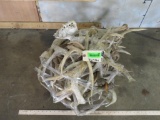 26.4LBS of Antler Sheds TAXIDERMY