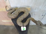 Slithering Rattlesnake Mt TAXIDERMY