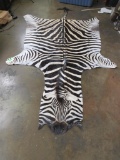 Brand New Zebra Hide 124