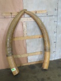 Set of Reproduction Elephant Tusks TAXIDERMY