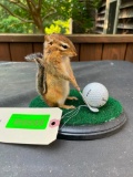 Golfing Chipmunk, with club, ball, and green NEW taxidermy, 6 inches tall, on 7 inch X 5 inch wood b