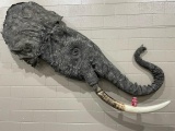 Super Cool Right Side of Elephant Head w/Reproduction Tusk TAXIDERMY