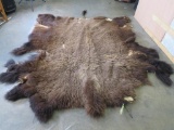 XL Buffalo Hide 112