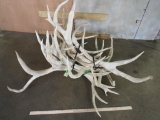 44LBS of Antlers TAXIDERMY