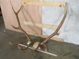 Elk Antlers TAXIDERMY