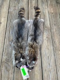 2 NEW tanned Large Raccoon furs,- hides - skins SOFT, great Taxidermy log cabin decor, 35 inches l