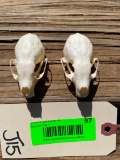 2 excellent, Rarely seen Pine Marten skulls, - ALL teeth, 2 3/4 inches long X 1 1/2 inches wide