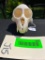 Awesome Putty Nose Monkey skull - all teeth- 4 3/4 inches long X 3 inches wide -Great hard to find s