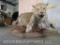 Lifesize Leopard on Base *TX RES ONLY* TAXIDERMY