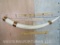 Elephant Ivory Tusk 64.9lbs of Ivory *TX RES ONLY* TAXIDERMY