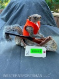 Hunting, Grey Squirrel, in Canoe, with orange vest & rifle, - New Taxidermy, hunting decor -9 inches