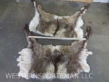 2 Caribou Back Hides (ONE$) TAXIDERMY
