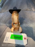 COWBOY Chipmunk, with cow boy hat and pistol, NEW taxidermy, 6 1/2 inches tall, on a wood base CUTE