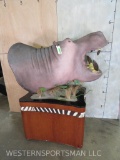 Hippo Pedestal Real Skin Reproduction Teeth TAXIDERMY