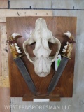 Lion Skull w/Lower Jaw as Dagger Handle *TX RES ONLY* TAXIDERMY ODDITY