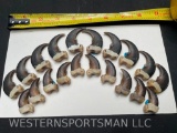 Set of 20 Black Bear CLAWS, all from Same bear 10 front Claws & 10 rear claws Great for Native Ameri