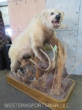 Beautiful Lifesize Brown Bear on Base TAXIDERMY
