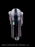 Beautiful, Full length, Raccoon fur coat, with Ranch FOX trim/collar & sleeves Excellent condition,