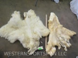 Mountain Goat & Dall Sheep Capes (2x$) TAXIDERMY