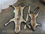 Felted Coyote & Genet Cat Rugs (2x$) TAXIDERMY
