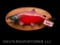 Sockeye salmon, Taxidermy fish mount ! Beautiful colors, excellent mount , fish is 27 inches long wo