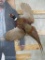 Lifesize Flying Pheasant TAXIDERMY