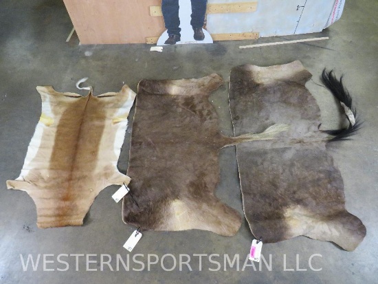 3 Older African Back Hides (3x$) TAXIDERMY