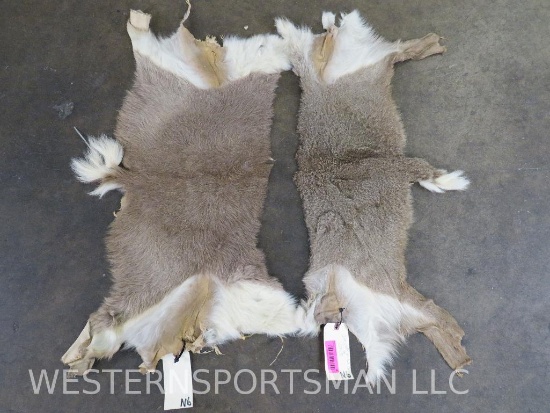 2 Very Soft Whitetail Backhides (2x$) TAXIDERMY