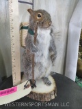 Super Cute Backpacking Squirrel TAXIDERMY