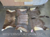 3 African Back Hides (3x$) TAXIDERMY
