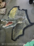 Super Cool Mounted Crocodile Head on Africa Shaped Plaque w/Hide TAXIDERMY