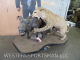 Super Cool Lifesize Leopard attacking Lifesize Pig on Base *TX RES ONLY* TAXIDERMY