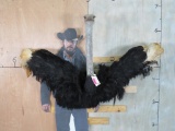 Super Cool Ostrich Sh Mt -Has small repair on back of Wing TAXIDERMY