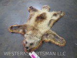 Felted Wolverine Rug w/Mounted Head 46