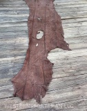 Beautiful- RARE HIPPO Leather Rich, Brown color, SOFT, 8 foot 3 inches long, 13 to 34 inches wide,