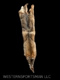 Huge heavy furred Coyote hide/fur/skin. New soft tan, 58 inches long , awesome Log cabin/man cave ta