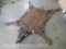 Very Rarely seen Forest Sitatunga Felted Rug w/Mounted Head (Nice) TAXIDERMY