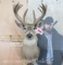 Nice 16 Pt Whitetail Sh Mt TAXIDERMY
