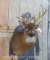 12 Pt Uncommon Whitetail Sh Mt TAXIDERMY