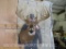XL Newer Whitetail Sh Mt 33+ Pts -Thick Tines TAXIDERMY