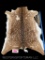ew soft tanned Texas Axis deer hide 37 inches long X 27 inches wide Great taxidermy decor!