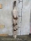 20th Century Wood Totem Art Painted & Decorated w/Feathers 3'T