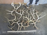 31.8 lbs of Sheds TAXIDERMY
