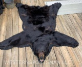 Beautiful, Black Bear rug, 7 feet long x 68 inches wide across the front legs, Double felted, like N